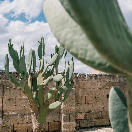 Masseria Cuturi-3